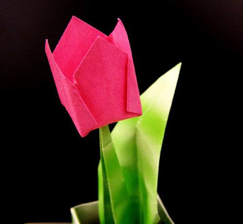 हमारे हाथों से कागज़ों से फूल - एक अनन्त पुष्पांजलि बनाएँ